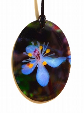 ��Â���y���_���g