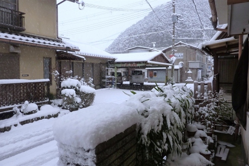 �O�g��i�F